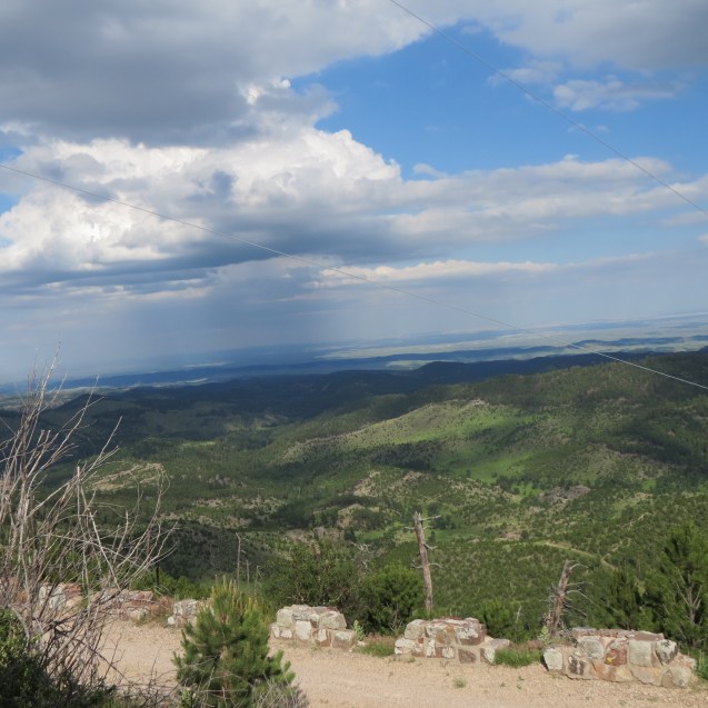 A view from the top of Mt. Coolidge