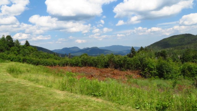Mountain views in NH